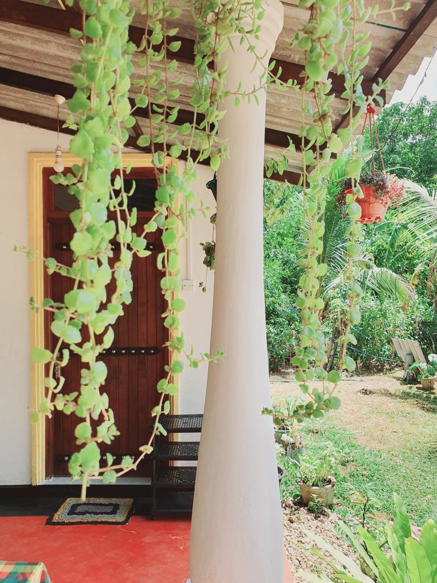 Sanu Home Stay Sigiriya Eksteriør billede